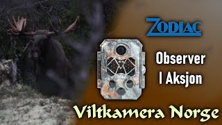 VILTKAMERA I AKSJON | Zodiac Observer