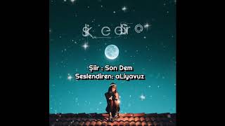 Şiir : Son Dem Seslendiren : aLiyavuz  instagram: @SiirLekesi Resimi