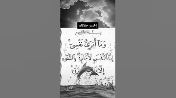 #اسلامي #القارء #duet #تلاوه #القران #تيك_توك