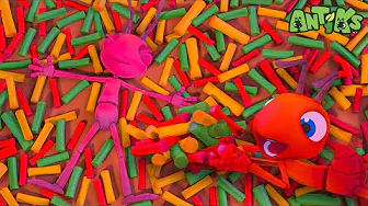 Welcome To My Sweet Candyland 🍭  Cartoons For Kids | Antiks Full Episodes | After School Club