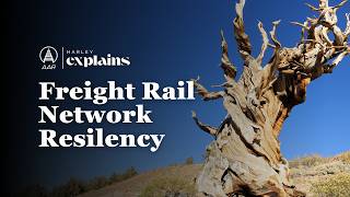 How tough are freight railroads?