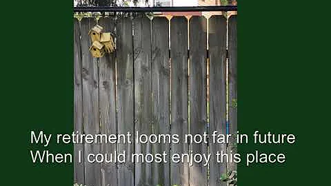 My Backyard  A Poem by Peggy Coyle