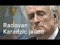 Radovan Karadzic: guilty of genocide in massacre of Bosnian