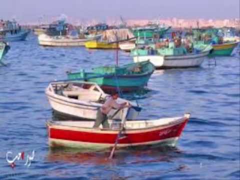 اسكندريه الصبيه اغنيه لكل اسكندراني