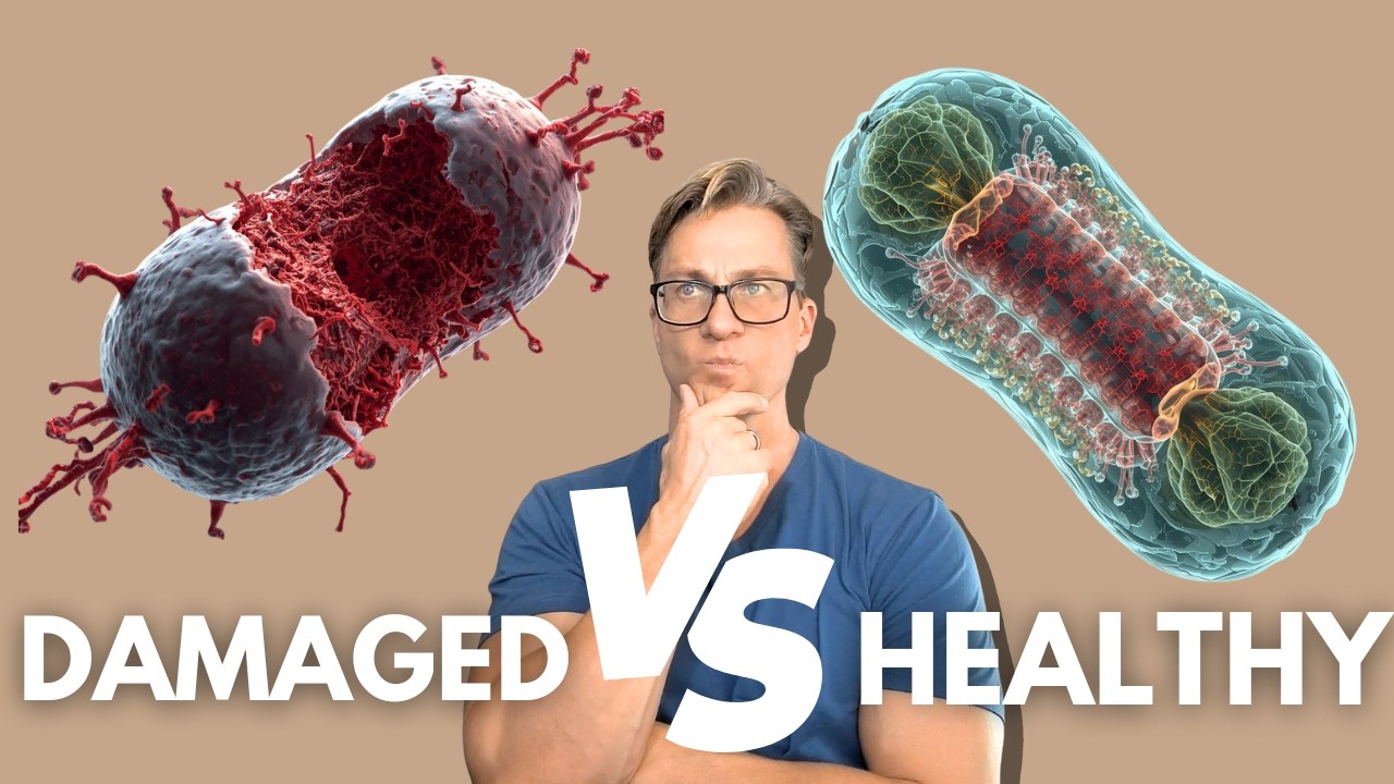 Fix Your Damaged Mitochondria to Reverse Disease