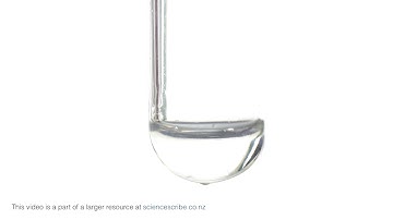 Cation I: New sample. Add 2 drops ammonia.