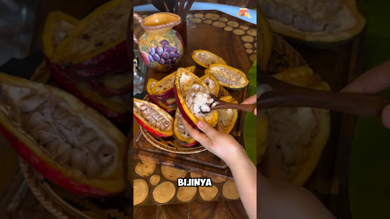 Cara Buat Coklat Secara Tradisional