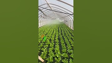 Dây tưới nhỏ giọt, Dây tưới phun mưa, Béc tưới xoay, Hệ thống tưới tự động Tháp Xanh