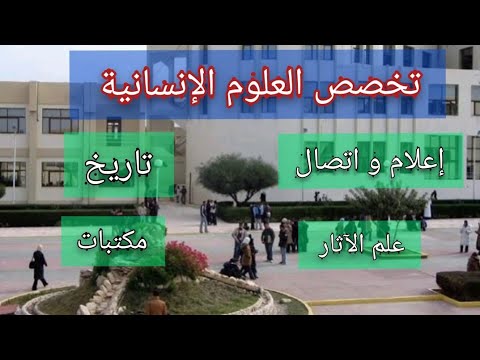 فيديو: كيفية اختيار جامعة العلوم الإنسانية الجيدة