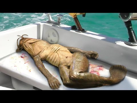 इस विडियो को देखकर चौंक जाएँगे || Real Or Fake? 10 Most Terrifying Recent Discoveries!