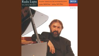 Video thumbnail of "Radu Lupu - Schubert: Piano Sonata No. 21 in B flat, D.960 - 2. Andante sostenuto"