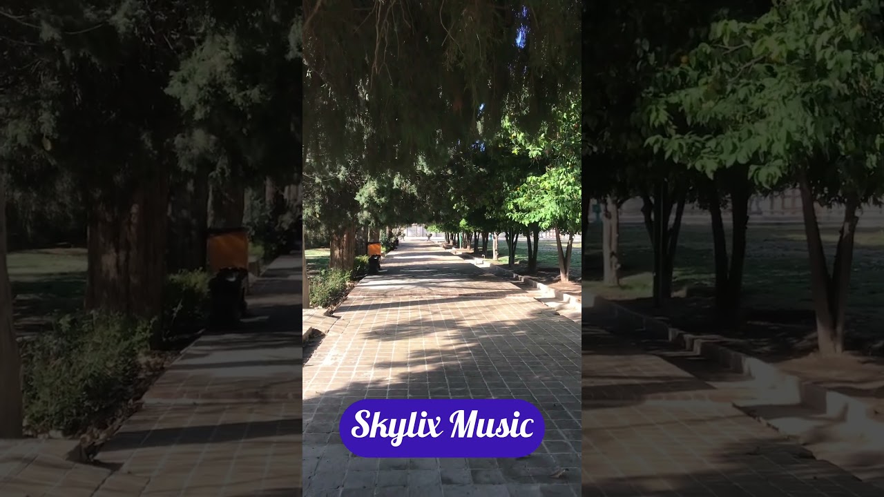 Touch the Trees 🌳✨: Relaxing Walk Through a Canopy of Lush Green Leaves
