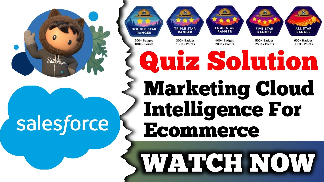 Marketing Cloud Intelligence for Ecommerce | Salesforce Trailhead | Quiz Solution