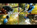 PESCA DE MOJARRAS CON JILGA! MIRA CUANTAS MOJARRAS!