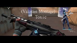 Toxic (Valorant Montage)