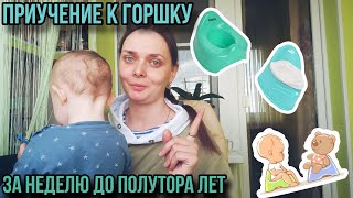 ПРИУЧЕНИЕ К ГОРШКУ. Начало 🫣 Влог 🎥