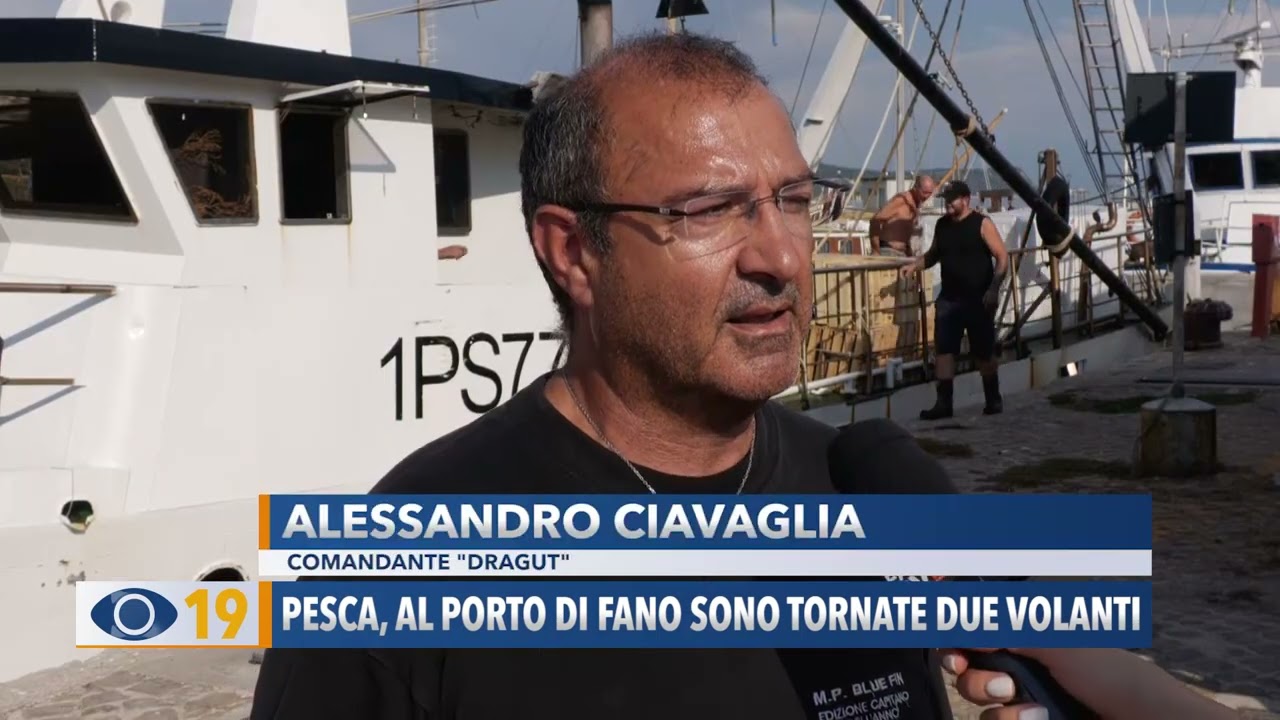 Pesca, al porto di Fano sono tornate due volanti
