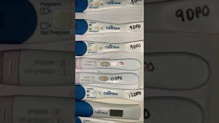 Pregnancy test line progression| CLEAR BLUE