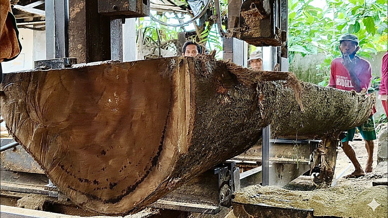 🌲Слишком большой и тяжелый, в итоге его разделили на две части для каркаса дома🌲
