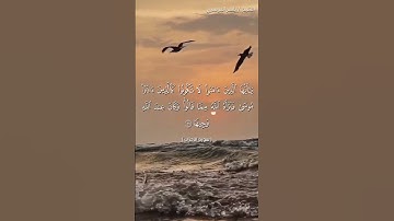 سورة الاحزاب من  آية 69 إلى آية 71 بصوت الشيخ ياسر الدوسري♥♥