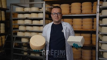 U kthye nga Italia, sot përpunojnë 8 ton qumësht n’ditë dhe punësojnë 30 persona