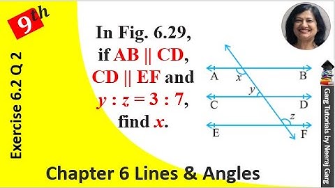 In Fig. 6.29, if AB || CD, CD || EF and y : z = 3 : 7, find x | If AB parallel CD CD parallel EF