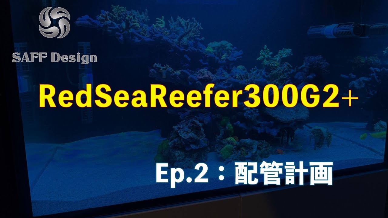 第1話：レッドシーリーファー250にするか？300にするか？ - saff