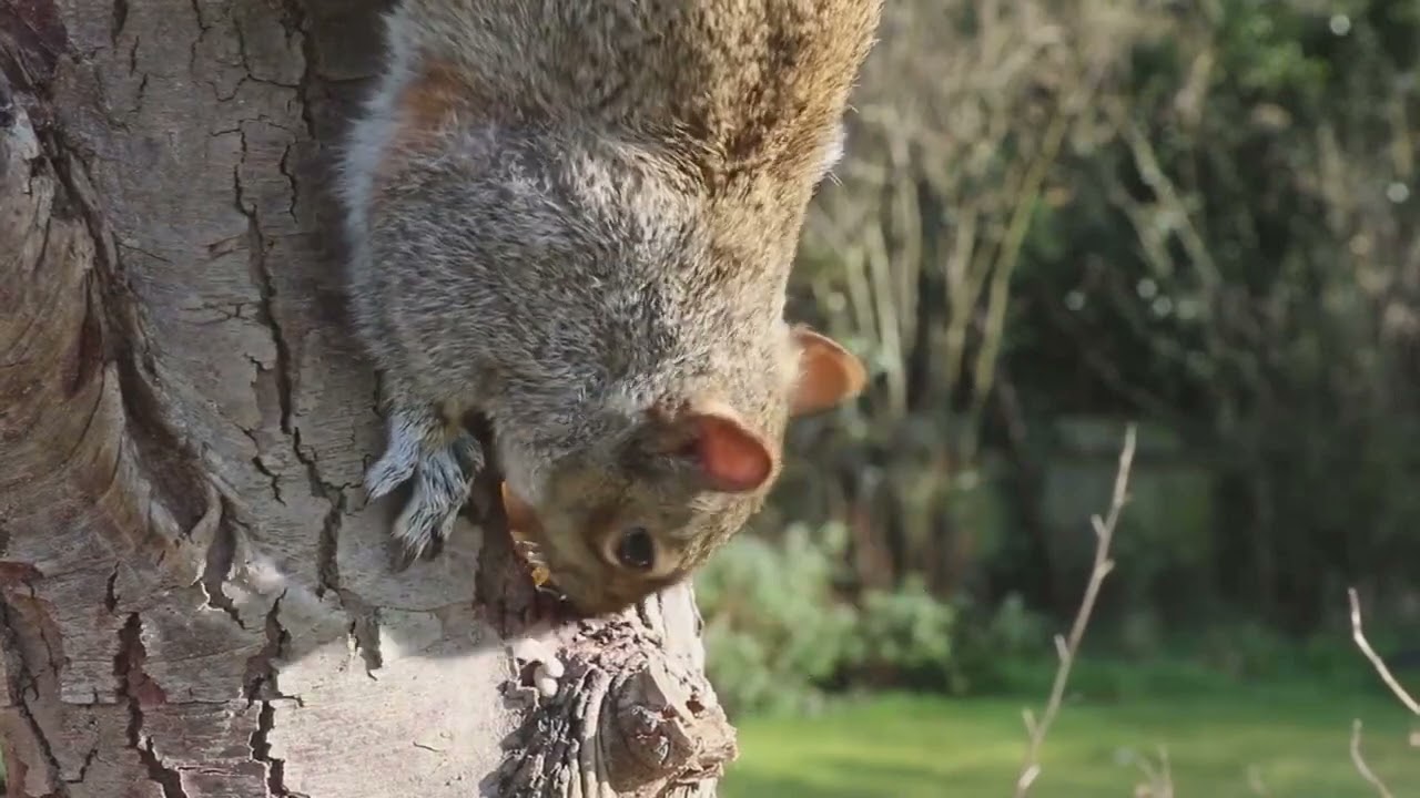 Great way to unwind with music - Music For Background Музыка для фона, расслабляющая.