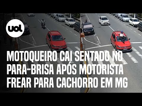 Motociclista voa por cima de carro após motorista frear para cachorro atravessar; veja o vídeo