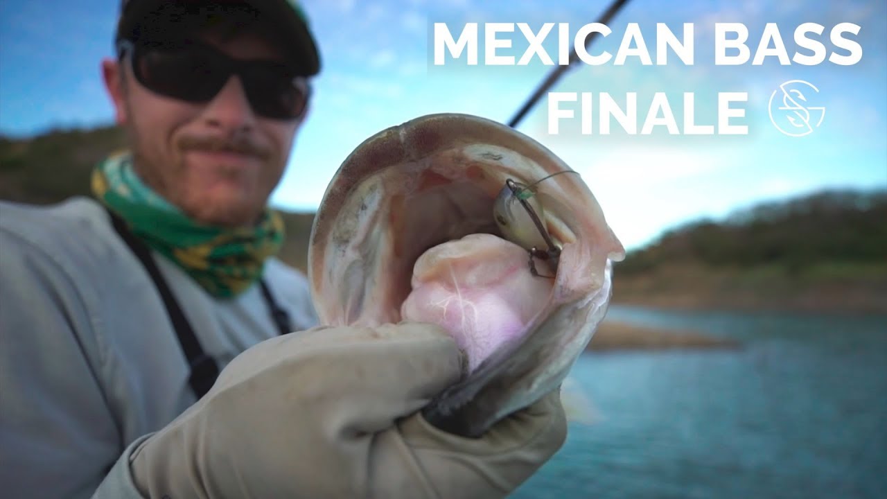 BIG BASS FINALE! (Lake COMODERO)