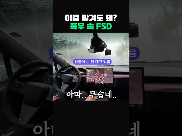 폭우 속에서 FSD를 켜봤더니..