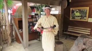 Okinawa Japan Ryukyu Mura Sanshin guitar may 2017