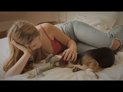 Cute Girl playing with Dog ||hot girl playing with pappy|| dog baby|| full hd video 4k