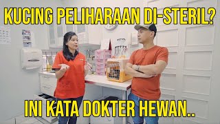 KUCING PELIHARAAN DISTERIL? INI KATA DOKTER HEWAN..