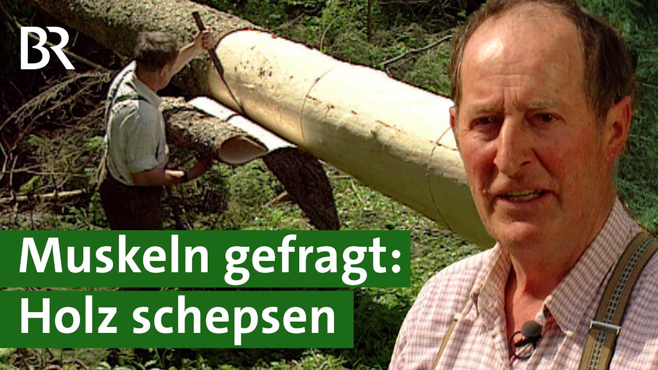 Holz ABRICHTEN mit dem AKKUSCHRAUBER 👉 Dieser TRICK verändert ALLES! | Jonas Winkler