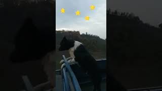 Ben Gökyüzünü Tutamam Yıldızları Çalan Kömür