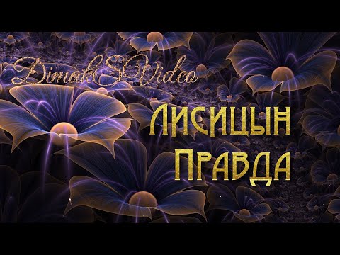 Лисицын - Правда (DimakSVideo)