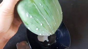 Xóa sạch Vĩnh Viễn Mụn Cơm, Mụn Cóc, Mụn Thịt Sau 1 Tuần Bằng Đu Đủ Xanh