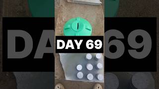 😱 Crazy Money 🤑 #trending #coin #challenge #viralvideo #fun #motivation #success #money #fyp #it