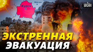 🔥Экстренная ЭВАКУАЦИЯ в Курске и Белгороде! Добровольцы открывают ОГОНЬ