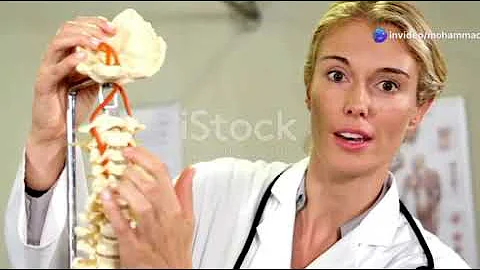 Physiotherapy 101: Types, Roles, and Career Path!