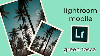 TUTORIAL EDIT GREEN TOSCA ( untuk instagram ) - ADOBE LIGHTROOM MOBILE screenshot 4