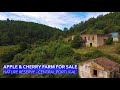APPLE AND CHERRY FARM FOR SALE - MOUNTAIN NATURE RESERVE IN FUNDAO CENTRAL PORTUGAL