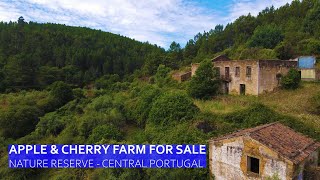APPLE AND CHERRY FARM FOR SALE  MOUNTAIN NATURE RESERVE IN FUNDAO CENTRAL PORTUGAL