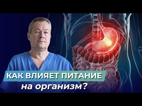 Принципы и основы ЗДОРОВОГО ПИТАНИЯ, которые должен знать каждый! Важность КБЖУ для организма