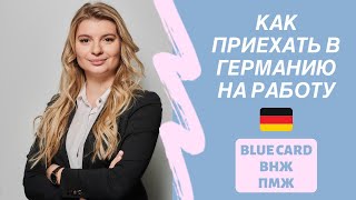 В Германию на работу по Blue Card 🇩🇪 | Подробные шаги, переезд | Прямой эфир с Blue Card Agency ПМЖ