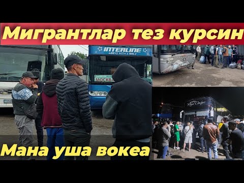 Тезкор видео таркалди, куришга улгуринг.| Москва-Ташкент ав