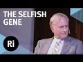 Richard Dawkins - The Selfish Gene explained