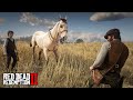 DOMANDO CAVALO EM GRUPO - Dupla de domadores de cavalo  -  Red Dead Redemption 2