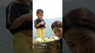 Giant Melon Delights! Harvesting a Hilltop Garden While Raising Adorable Piglets &amp; Chic